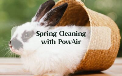 Spring Cleaning with PowAir