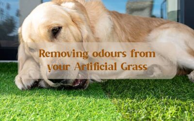 Removing Odours from Artificial Grass
