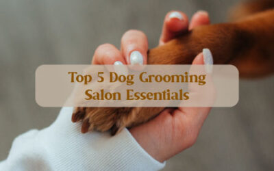 Top 5 Dog Grooming Salon Essentials
