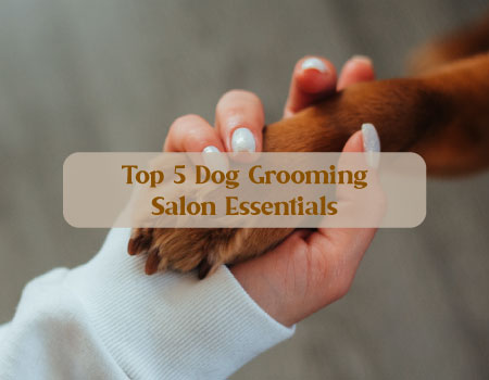Top 5 Dog Grooming Salon Essentials
