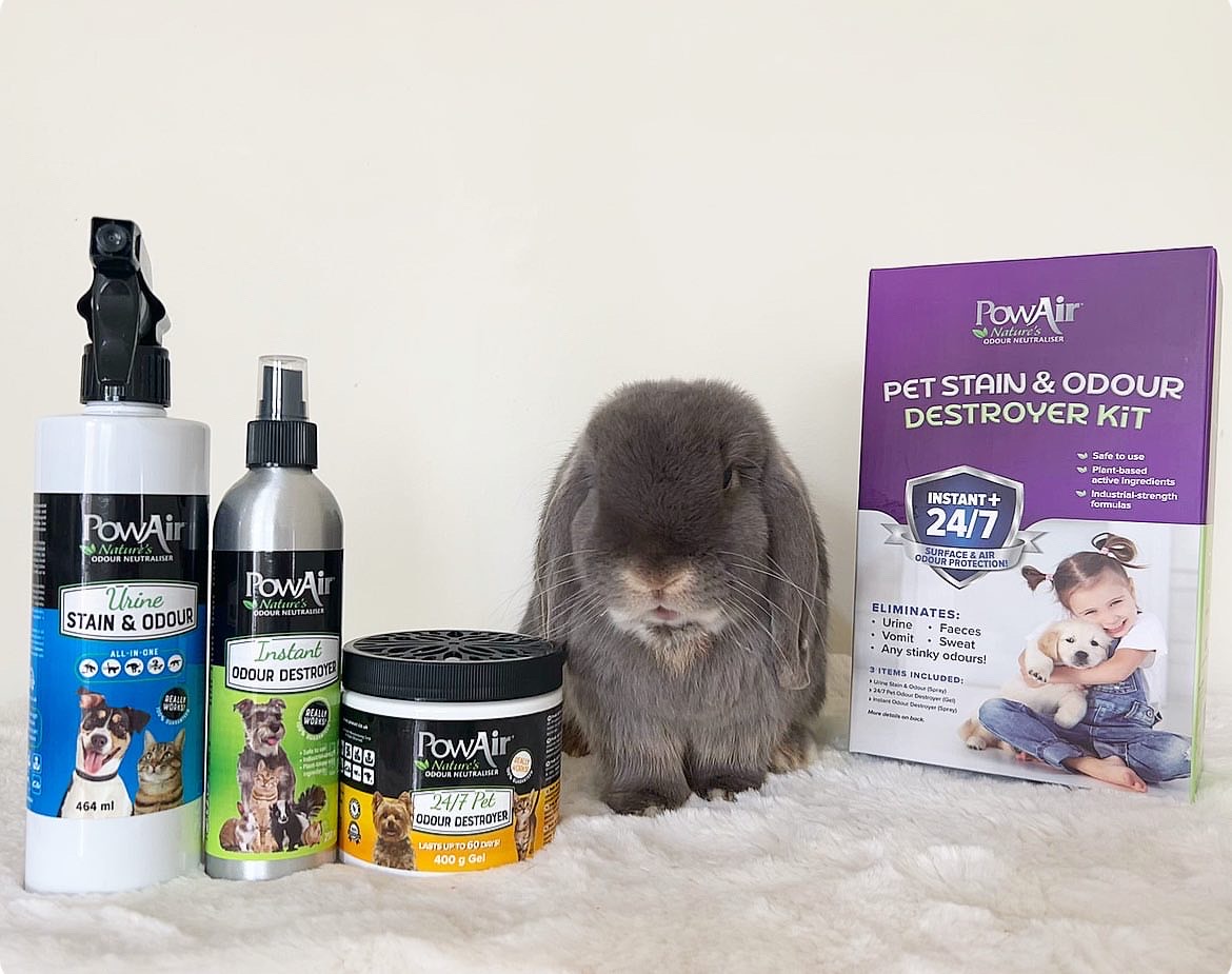 My Minilops for the PowAir Pet Stain & Odour Destroyer Kit Launch
