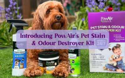 PowAir’s Pet Stain & Odour Destroyer Kit is here!