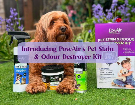 PowAir’s Pet Stain & Odour Destroyer Kit is here!