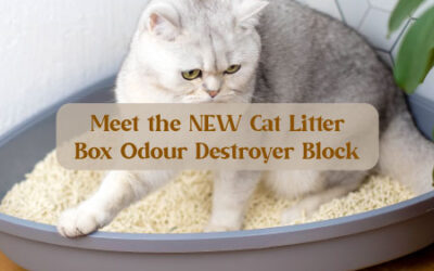 Say Goodbye to Cat Odours: Meet the NEW Cat Litter Box Odour Destroyer!