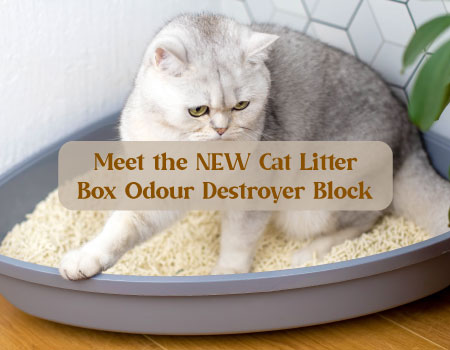 Say Goodbye to Cat Odours: Meet the NEW Cat Litter Box Odour Destroyer!