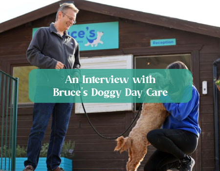 Bruce’s Doggy Day Care Interview