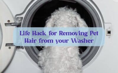 Life Hack for Removing Pet Hair from your Washer