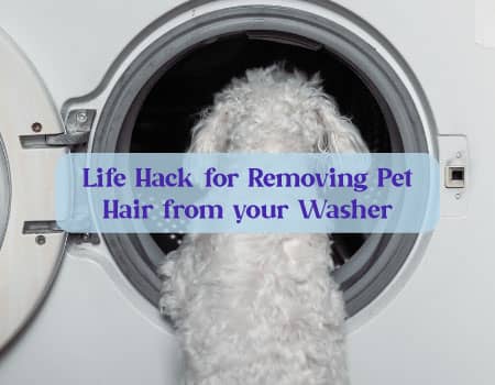 Life Hack for Removing Pet Hair from your Washer