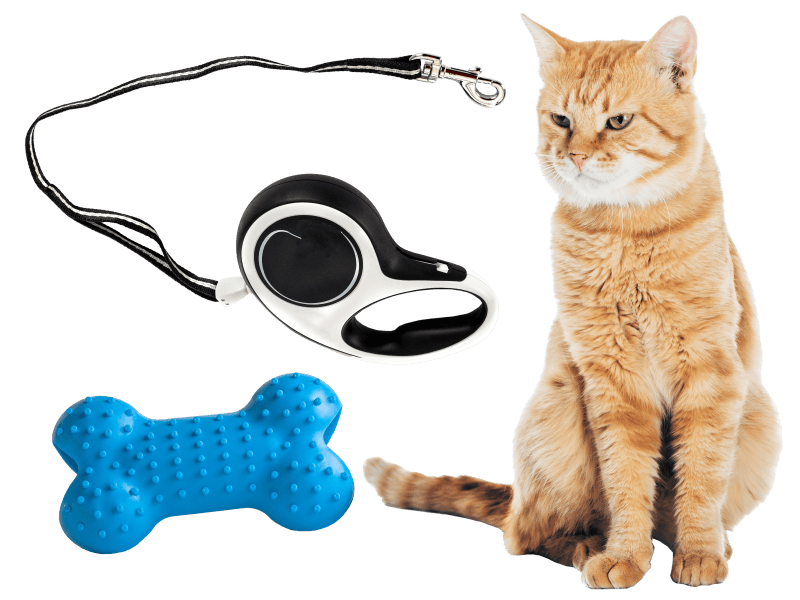 Discover how to tackle pet odours effectively with PowAir Pets Discover how to tackle pet odours effectively with PowAir Pets
