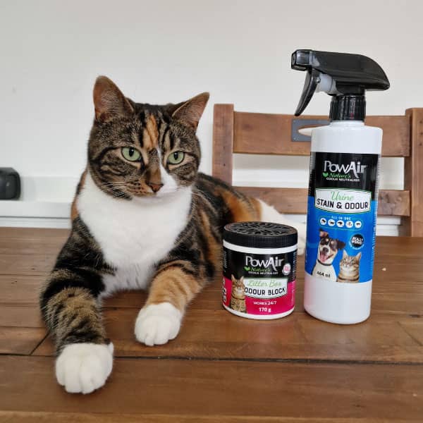 Athena the Cat with PowAirs NEW Pet Urine Stain & Odour Destroyer Spray and Cat Litter Odour Destroyer Block Athena the Cat with PowAirs NEW Pet Urine Stain & Odour Destroyer Spray and Cat Litter Odour Destroyer Block