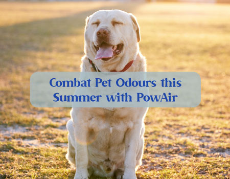 Combat Pet Odours this Summer