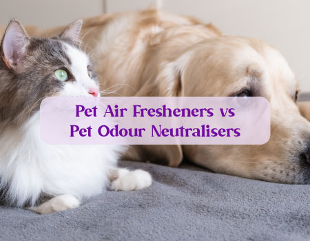 Pet Air Fresheners vs Pet Odour Neutralisers