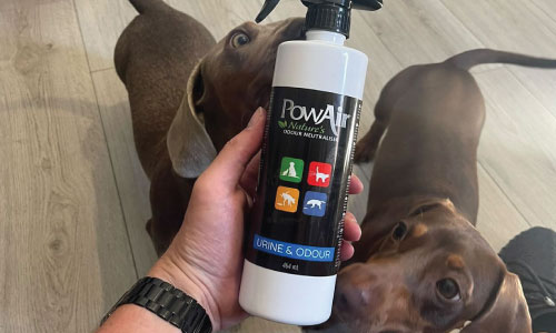 PowAir Urine & Odour 464ml enzymatic spray pictured with Dash and Dougie on Instagram